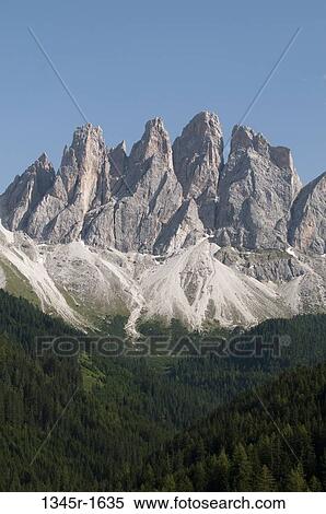 Trees with mountain range on a landscape, Geisler Gruppe, Funes Valley, Dolomites, Trentino-Alto-Adige, Italy View Large Photo Image Stock Photography - Trees with mountain range on a landscape, Geisler Gruppe, Funes Valley, Dolomites, Trentino-Alto-Adige, Italy. Fotosearch