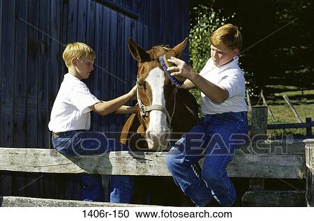 Two boys grooming a horse View Large Photo Image Stock Image - Two boys grooming a horse. Fotosearch