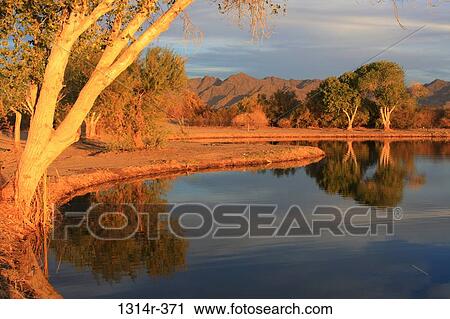Stock Image - USA, Arizona, Yuma, Fortuna Pond at sunset. Fotosearch