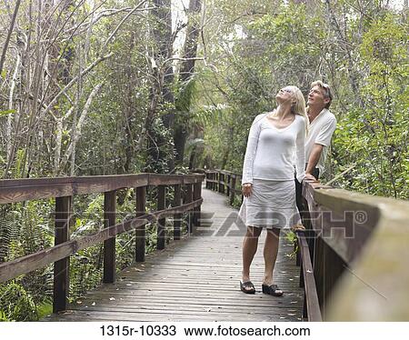 USA, Florida, Everglades, Couple looking for birdlife from boardwalk View Large Photo Image Stock Image - USA, Florida, Everglades, Couple looking for birdlife from boardwalk. Fotosearch