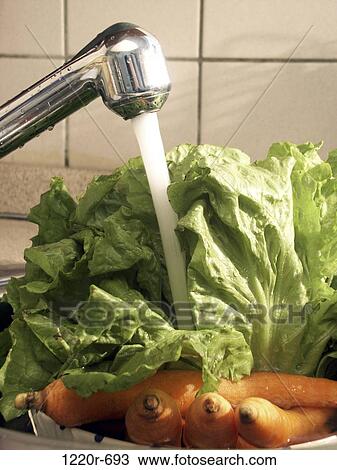 Vegetables being washed in a sink View Large Photo Image Stock Image - Vegetables being washed in a sink. Fotosearch