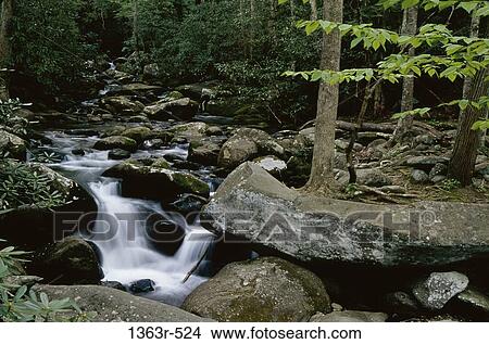 Water cascading down a stream, Tennessee, USA View Large Photo Image Picture - Water cascading down a stream, Tennessee, USA. Fotosearch