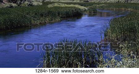 Water flowing at East Walker River, Bridgeport, California, USA View Large Photo Image Stock Photo - Water flowing at East Walker River, Bridgeport, California, USA. Fotosearch