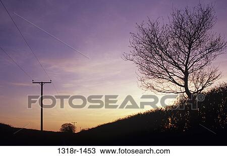 Winter sunset sky over country lane with silhouetted trees hedges and power lines with poles Norfolk UK View Large Photo Image Stock Image - Winter sunset sky over country lane with silhouetted trees hedges and power lines with poles Norfolk UK. Fotosearch