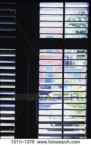 window shutters