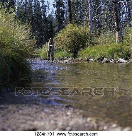 Young woman fishing in a river, Stanley, Idaho, USA View Large Photo Image Stock Image - Young woman fishing in a river, Stanley, Idaho, USA. Fotosearch