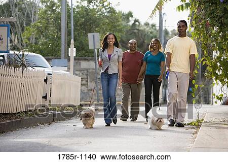 Stock Image - African American family walking dogs. Fotosearch