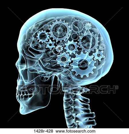 Brain with gears, Digitally Generated Image by Hank Grebe View Large Photo Image Stock Photo - Brain with gears, Digitally Generated Image by Hank Grebe. Fotosearch