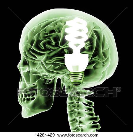 Brain with green light bulb, Digitally Generated Image by Hank Grebe View Large Photo Image Stock Photo - Brain with green light bulb, Digitally Generated Image by Hank Grebe. Fotosearch