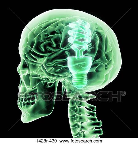 Brain with green light bulb II, Digitally Generated Image by Hank Grebe View Large Photo Image Stock Image - Brain with green light bulb II, Digitally Generated Image by Hank Grebe. Fotosearch