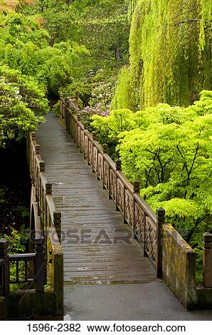 Bridge in a garden, Crystal Springs Rhododendron Garden, Portland, Oregon, USA View Large Photo Image Stock Image - Bridge in a garden, Crystal Springs Rhododendron Garden, Portland, Oregon, USA. Fotosearch