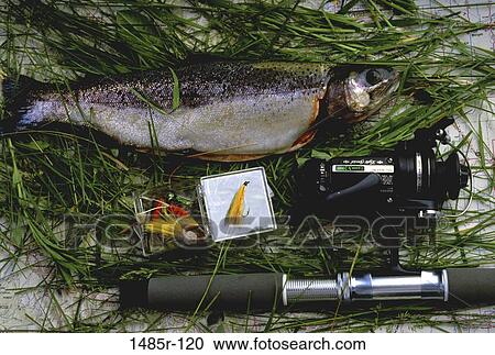Stock Image - Close-up of a fish and a fishing rod. Fotosearch