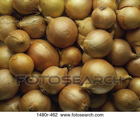 Close-up of a heap of onions View Large Photo Image Stock Image - Close-up of a heap of onions. Fotosearch