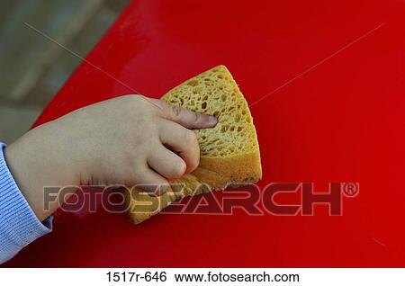 Close-up of a person's hand holding a sponge View Large Photo Image Stock Photograph - Close-up of a person's hand holding a sponge. Fotosearch