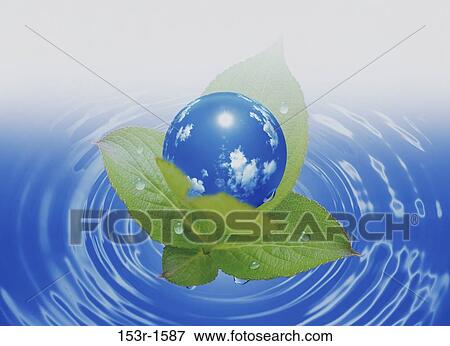 Close-up of a sphere on leaves with reflection of sky on it View Large Photo Image Stock Photo - Close-up of a sphere on leaves with reflection of sky on it. Fotosearch