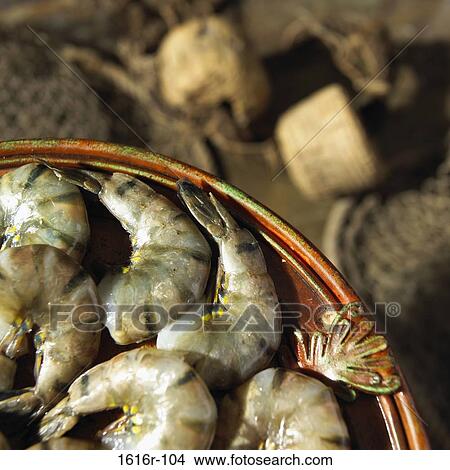 Picture - Close-up of black tiger shrimp on a platter (Penaeus monodon). Fotosearch