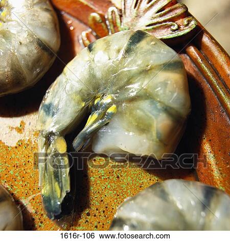 Close-up of black tiger shrimp on a platter (Penaeus monodon) View Large Photo Image Stock Photograph - Close-up of black tiger shrimp on a platter (Penaeus monodon). Fotosearch