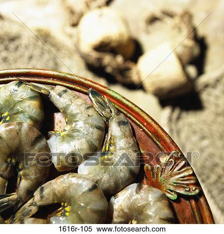 Stock Photography - Close-up of black tiger shrimp on a platter (Penaeus monodon). Fotosearch