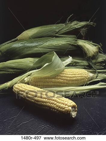 Close-up of corn on the cob View Large Photo Image Stock Photo - Close-up of corn on the cob. Fotosearch