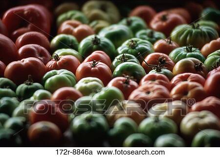 Stock Image - Close-up of tomatoes. Fotosearch