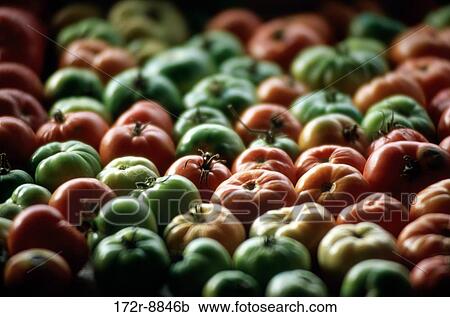 Close-up of tomatoes View Large Photo Image Stock Image - Close-up of tomatoes. Fotosearch