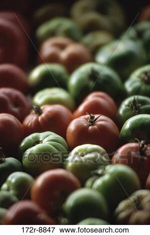 Close-up of tomatoes View Large Photo Image Stock Photo - Close-up of tomatoes. Fotosearch