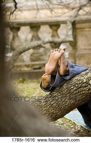 Close-up view of a pair of feet resting on a low-hanging tree branch in a garden View Large Photo Image Stock Photograph - Close-up view of a pair of feet resting on a low-hanging tree branch in a garden. Fotosearch