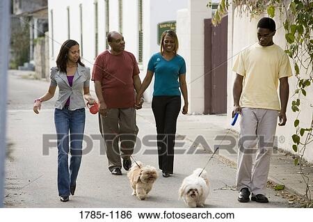 Family walking on a street with their dogs View Large Photo Image Stock Photograph - Family walking on a street with their dogs. Fotosearch