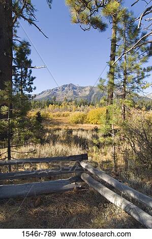 Stock Photo - Fence in a field with a mountain range in the background, Mt Tallac, near Lake Tahoe, California, USA. Fotosearch