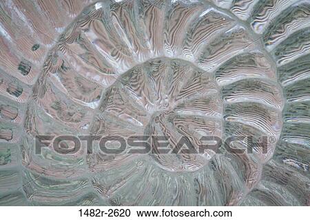 Glass detail, San Miguel de Allende, Guanajuato, Mexico View Large Photo Image Stock Image - Glass detail, San Miguel de Allende, Guanajuato, Mexico. Fotosearch