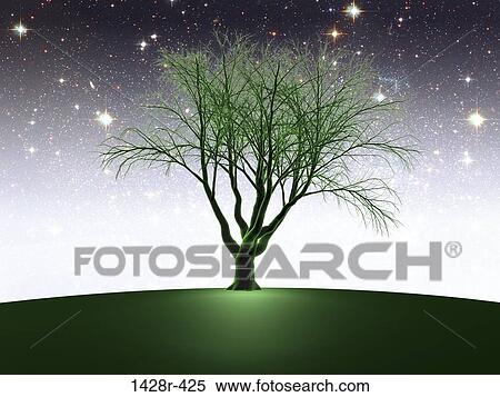 Green Oak Tree at Night, Digitally Generated Image by Hank Grebe View Large Photo Image Stock Photography - Green Oak Tree at Night, Digitally Generated Image by Hank Grebe. Fotosearch