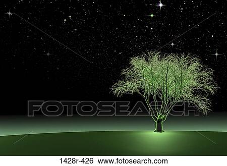 Green Oak Tree at Night II, Digitally Generated Image by Hank Grebe View Large Photo Image Stock Photograph - Green Oak Tree at Night II, Digitally Generated Image by Hank Grebe. Fotosearch