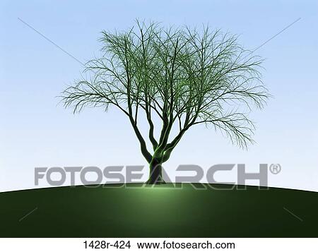 Green Oak Tree, Digitally Generated Image by Hank Grebe View Large Photo Image Picture - Green Oak Tree, Digitally Generated Image by Hank Grebe. Fotosearch