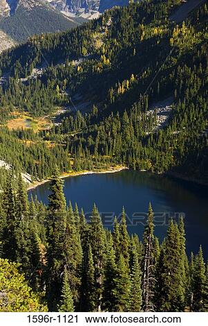High angle view of a lake surrounded by trees, Lake Ann, Okanogan National Forest, Washington State, USA View Large Photo Image Stock Image - High angle view of a lake surrounded by trees, Lake Ann, Okanogan National Forest, Washington State, USA. Fotosearch