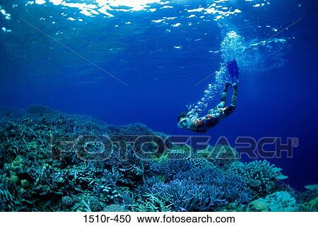 High angle view of a scuba diver swimming underwater View Large Photo Image Stock Image - High angle view of a scuba diver swimming underwater. Fotosearch
