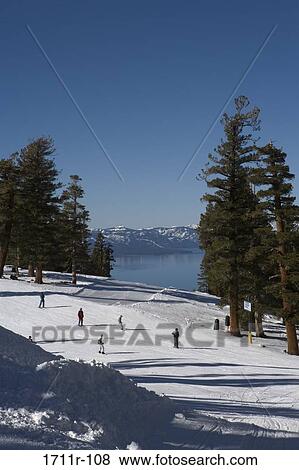 High angle view of five people skiing, Heavenly Mountain, Lake Tahoe, California, USA View Large Photo Image Stock Photo - High angle view of five people skiing, Heavenly Mountain, Lake Tahoe, California, USA. Fotosearch