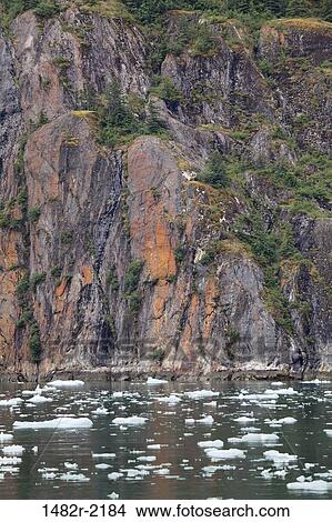 Picture - Icebergs, Endicott Arm, Alaska, USA. Fotosearch