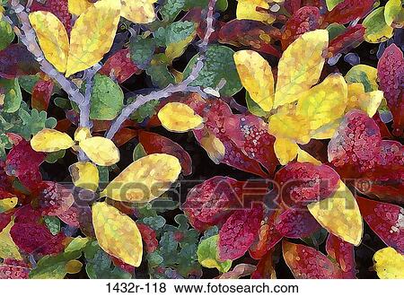 Stock Photo - Illustration of leaves on trees in autumn. Fotosearch