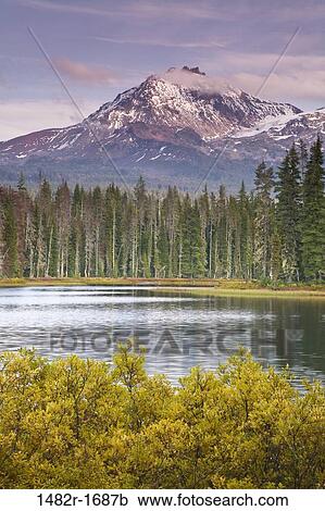 Lake with trees in front of a mountain, Scott Lake, Willamette National Forest, Oregon, USA View Large Photo Image Stock Image - Lake with trees in front of a mountain, Scott Lake, Willamette National Forest, Oregon, USA. Fotosearch