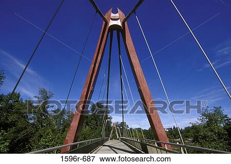 Low angle view of a bridge, Peter DeFazio Bridge, Alton Baker Park, Eugene, Oregon, USA View Large Photo Image Stock Photo - Low angle view of a bridge, Peter DeFazio Bridge, Alton Baker Park, Eugene, Oregon, USA. Fotosearch