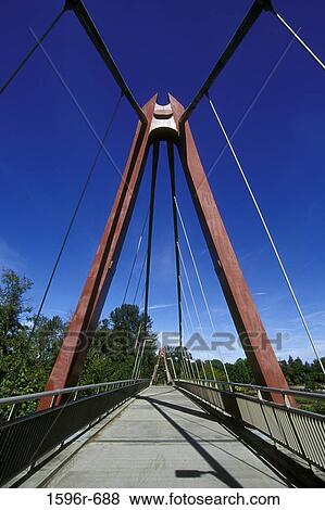Low angle view of a bridge, Peter DeFazio Bridge, Alton Baker Park, Eugene, Oregon, USA View Large Photo Image Stock Photo - Low angle view of a bridge, Peter DeFazio Bridge, Alton Baker Park, Eugene, Oregon, USA. Fotosearch