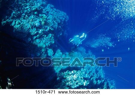 Stock Image - Low angle view of two scuba divers swimming underwater. Fotosearch