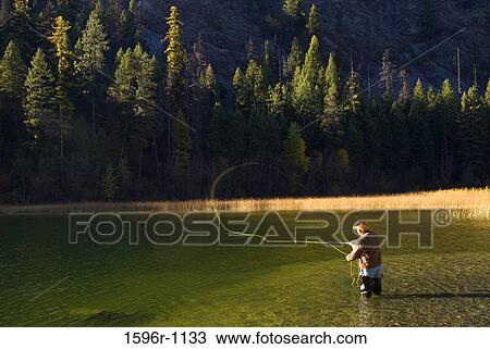 Man fly-fishing in a pond, Sherman Pass Scenic Byway, Colville National Forest, Washington State, USA View Large Photo Image Stock Image - Man fly-fishing in a pond, Sherman Pass Scenic Byway, Colville National Forest, Washington State, USA. Fotosearch
