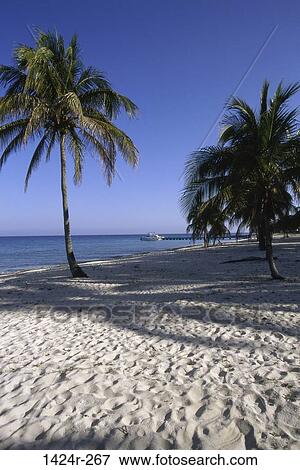 Maria La Gorda Beach Cuba View Large Photo Image Stock Photo - Maria La Gorda Beach Cuba . Fotosearch