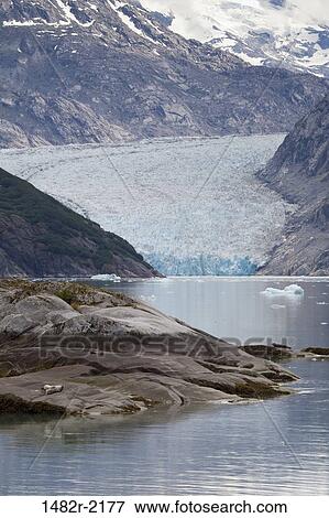 Melting glacier with mountains in the background, Endicott Glacier, Endicott Arm, Alaska, USA View Large Photo Image Stock Photo - Melting glacier with mountains in the background, Endicott Glacier, Endicott Arm, Alaska, USA. Fotosearch