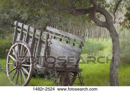 Mexico; Tecate; Rancho La Puerta View Large Photo Image Picture - Mexico; Tecate; Rancho La Puerta. Fotosearch