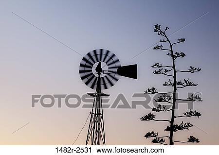 Stock Image - Mexico; Tecate; Rancho La Puerta. Fotosearch