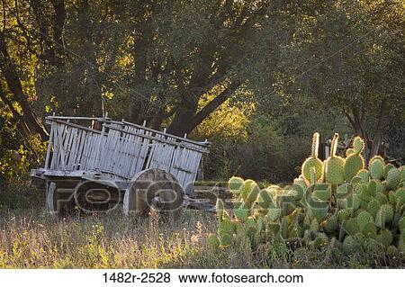 Stock Photo - Mexico; Tecate; Rancho La Puerta. Fotosearch