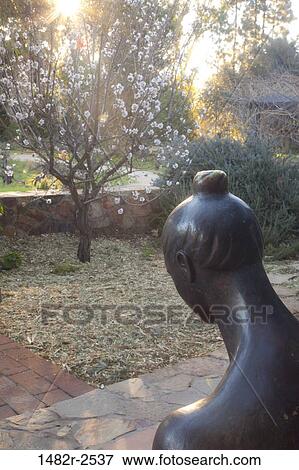 Stock Photo - Mexico; Tecate; Rancho La Puerta. Fotosearch
