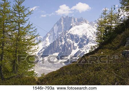Stock Image - Mountain covered with snow, Grandes Jorasses, French Alps, France. Fotosearch